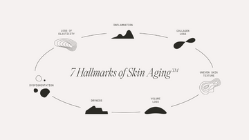 Introducing: The 7 Hallmarks of Skin Aging™